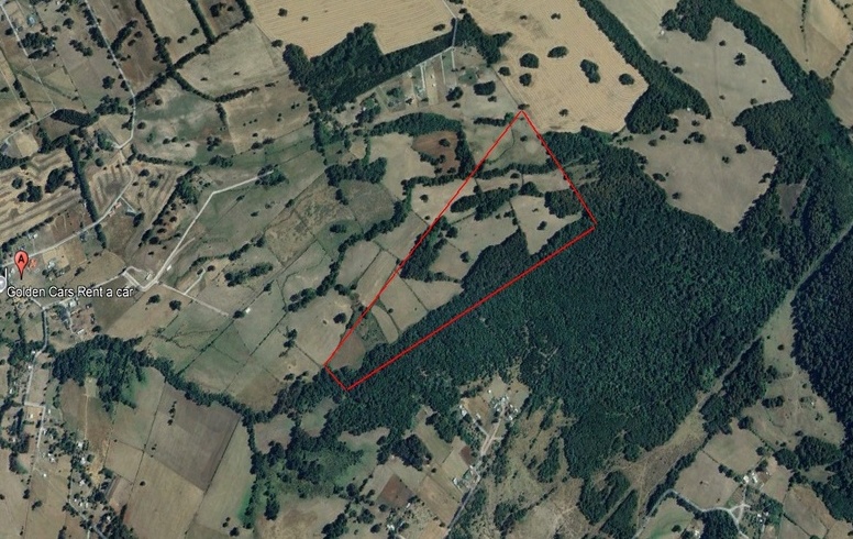 campo-mitrentue-panguipulli